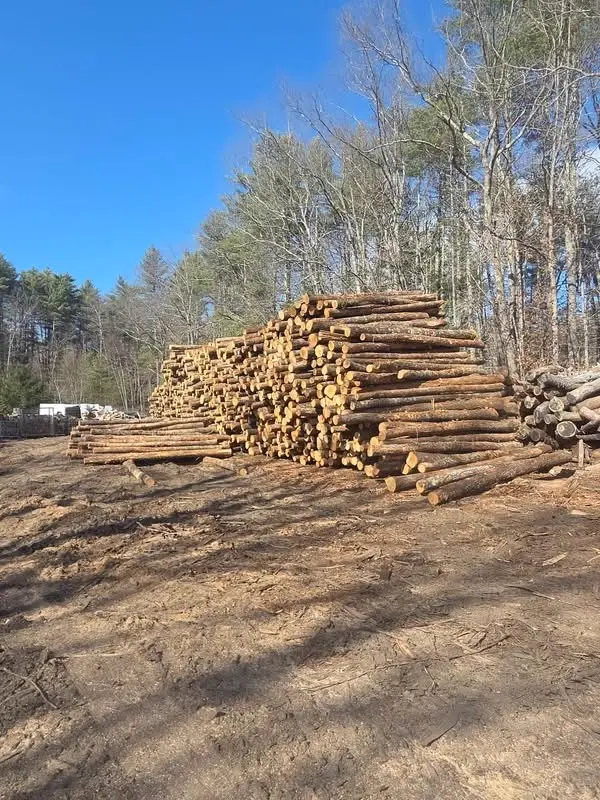 Green Hardwood — hardwood firewood